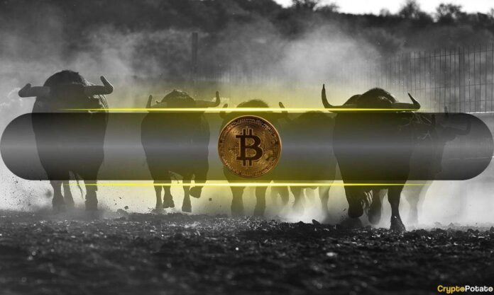 These Four Signals Could Confirm if Bitcoin’s Low Is Locked In: Analyst These Four Signals Could Confirm if Bitcoin’s Low Is Locked In: Analyst