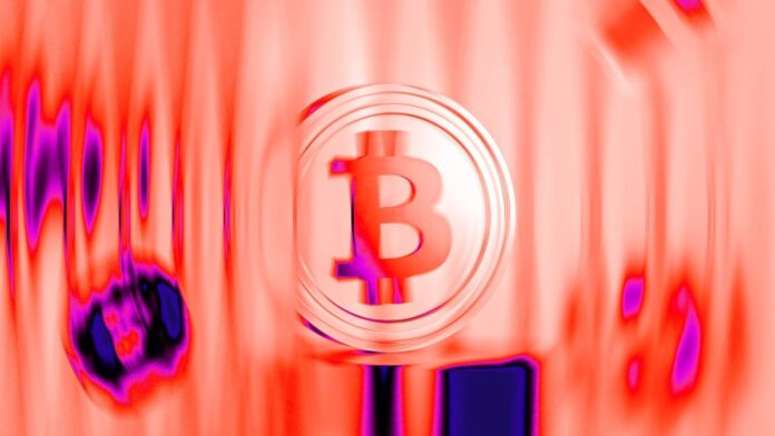 Adam Back invests another .8 million in Capital B as bitcoin treasury firm targets 3,521 BTC