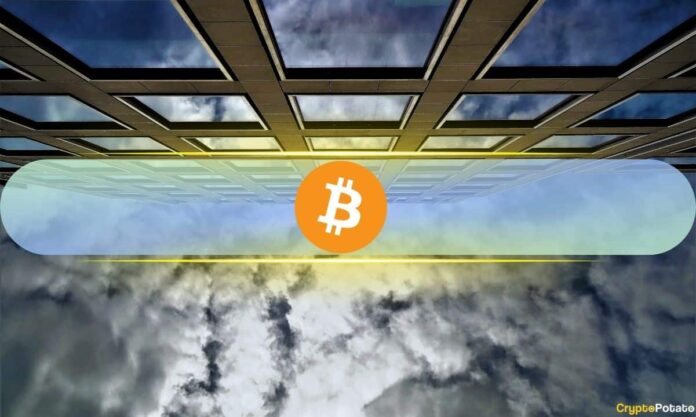 Institutions Watched Bitcoin Fall 50%: Yet None of 15 Bitwise Surveyed Investors Cut Exposure Institutions Watched Bitcoin Fall 50%: Yet None of 15 Bitwise Surveyed Investors Cut Exposure