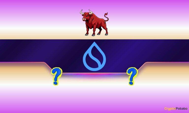 SUI Flashes a Key Macro Signal: Has the Bull Market Begun?