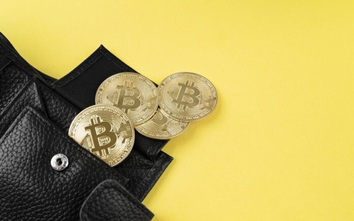 Best NFT Wallets (2026): Tested for Ethereum, Solana, and Bitcoin NFTs Best NFT Wallets (2026): Tested for Ethereum, Solana, and Bitcoin NFTs